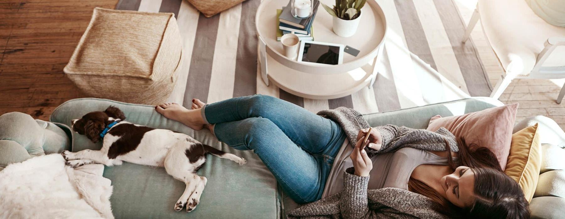 overhead view of  a woman texting as she lies on a couch with a dog at her feet